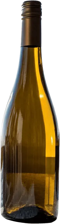 1瓶葡萄酒