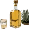 1瓶龙舌兰酒和1杯龙舌兰酒