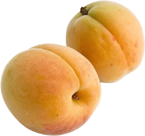 2个杏桃
