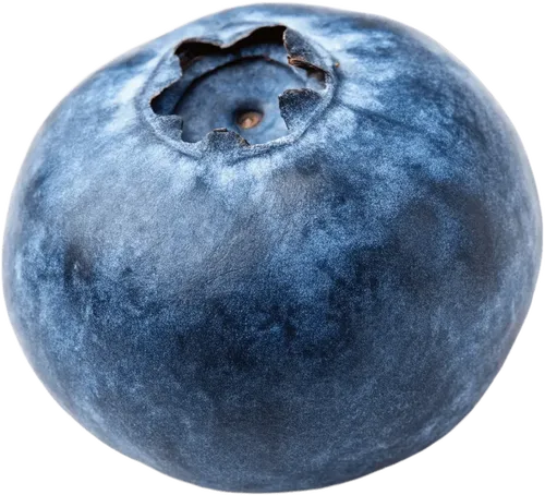 1颗蓝莓