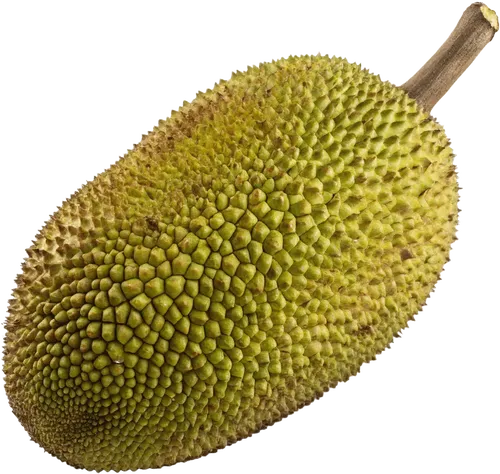 1个菠萝蜜