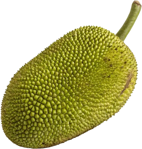 1个菠萝蜜