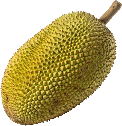 1个菠萝蜜