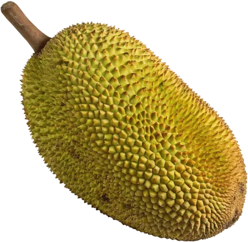 1个菠萝蜜