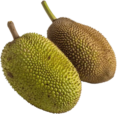2个菠萝蜜