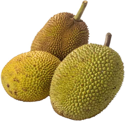 3个菠萝蜜