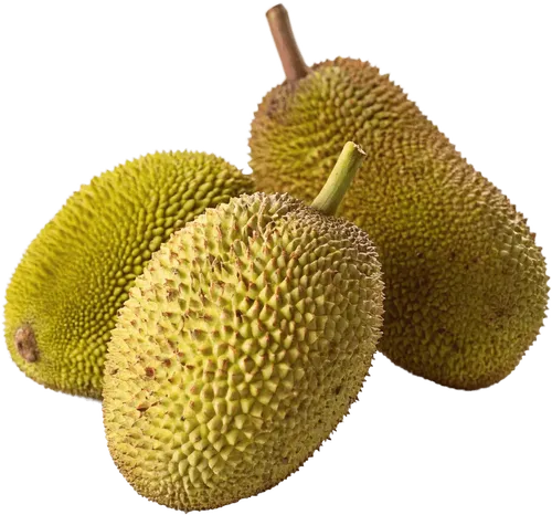 3个菠萝蜜