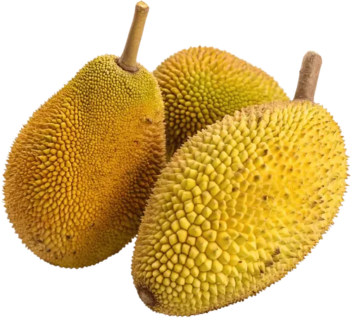 3个菠萝蜜