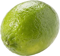 酸橙
