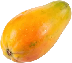 木瓜