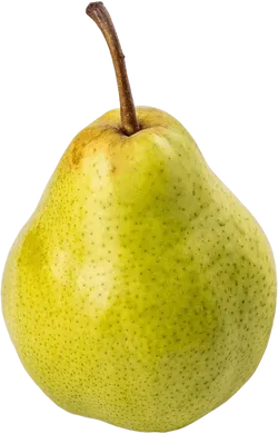 梨子