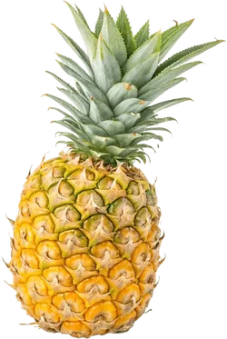 菠萝