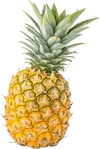 1个菠萝