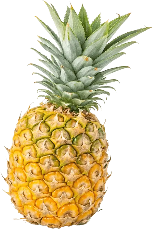 1个菠萝