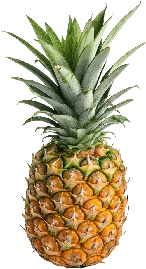 1个菠萝