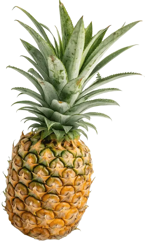 1个菠萝
