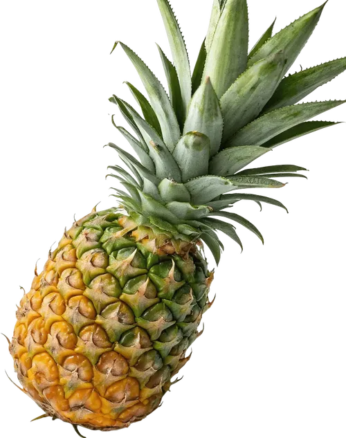 1个菠萝