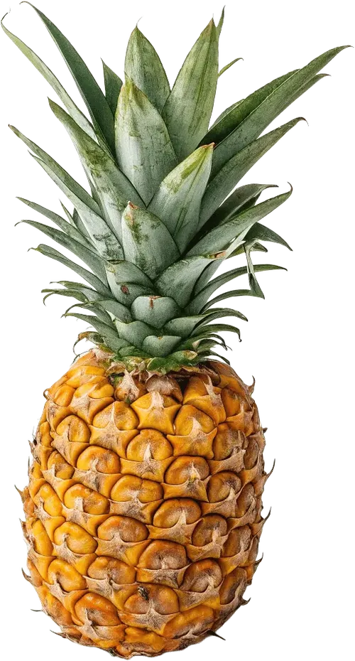 1个菠萝