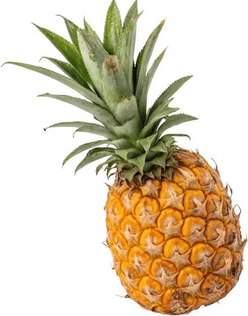 1个菠萝