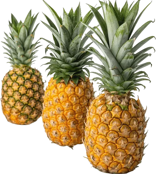 3个菠萝