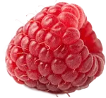 覆盆子