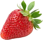 草莓