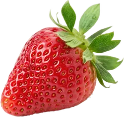 草莓