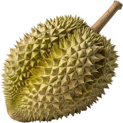 榴莲