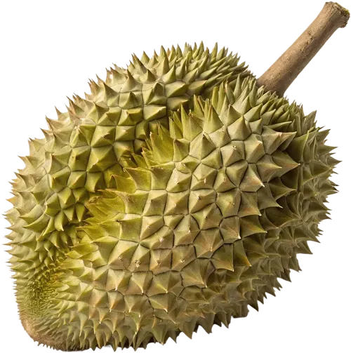 1个榴莲