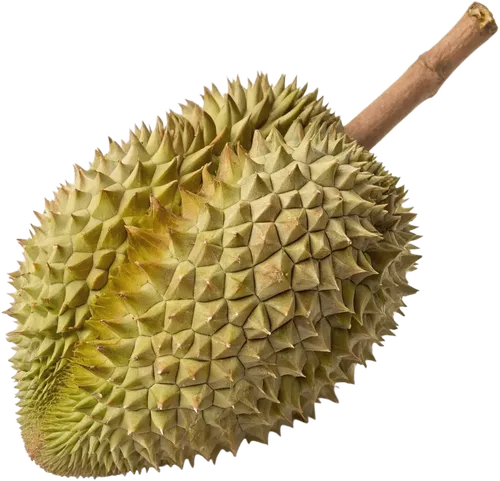 1个榴莲