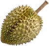 1个榴莲