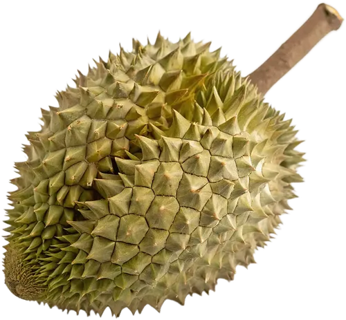 1个榴莲
