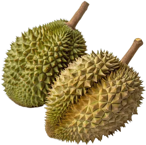 2个榴莲