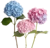 三朵绣球花
