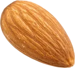 杏仁