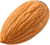 1个杏仁