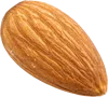 1个杏仁