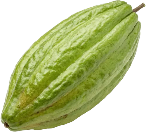 1个可可豆