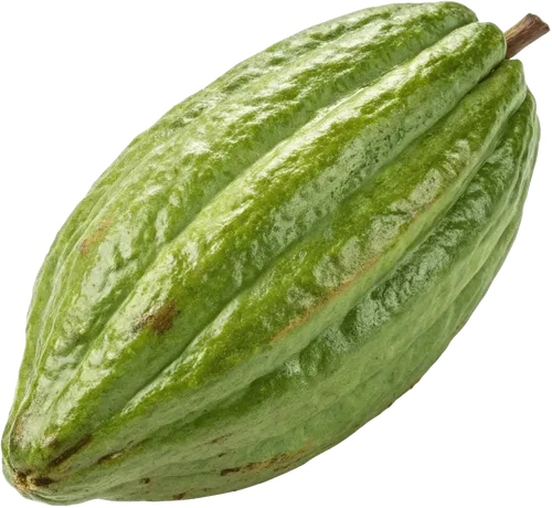 1个可可豆
