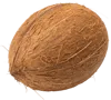 1个椰子