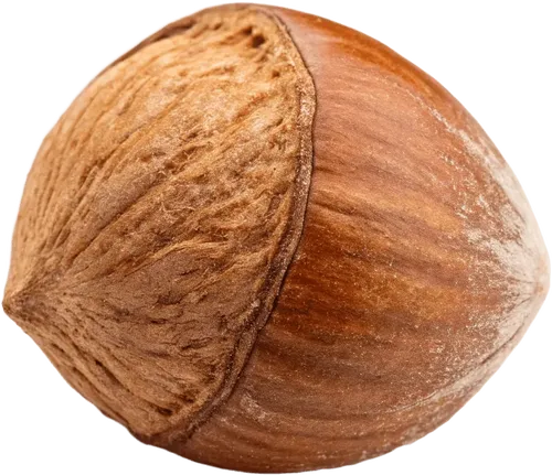 1个榛子