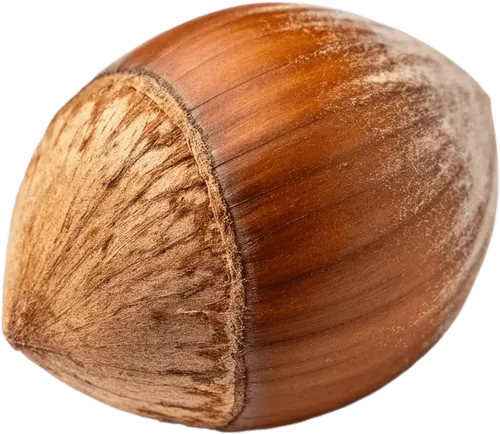 1个榛子