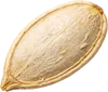 1个南瓜子