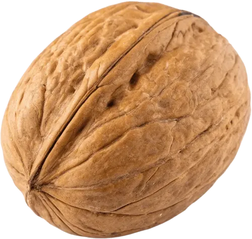 1个核桃