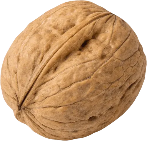 1个核桃