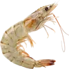 蜷缩身体的虾子