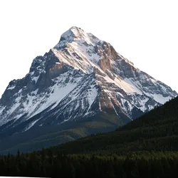 山