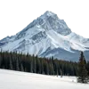1座大山
