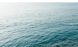 海