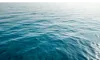 1片大海